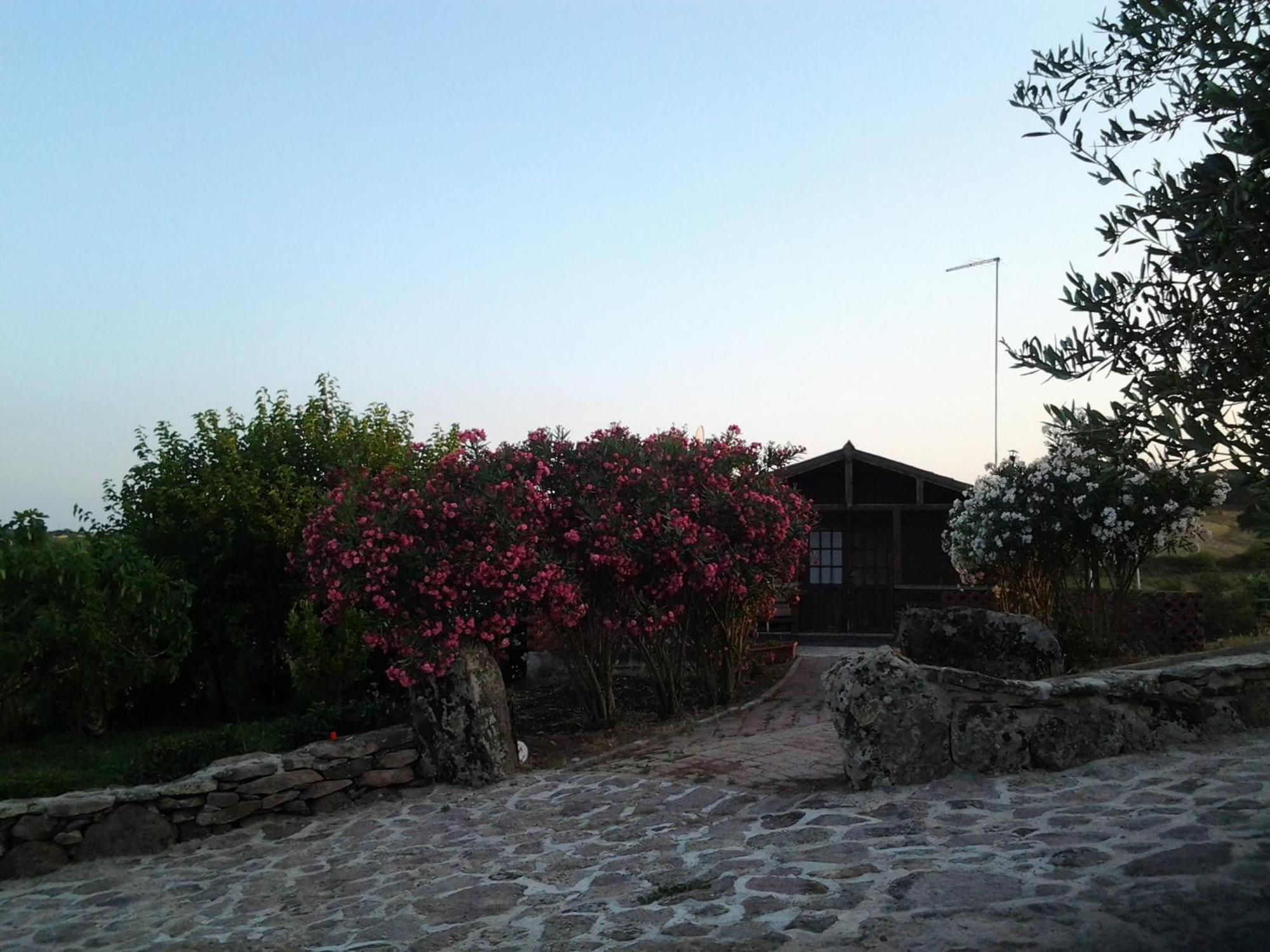 Agriturismo Su Recreu Villa Ittiri Rum bild