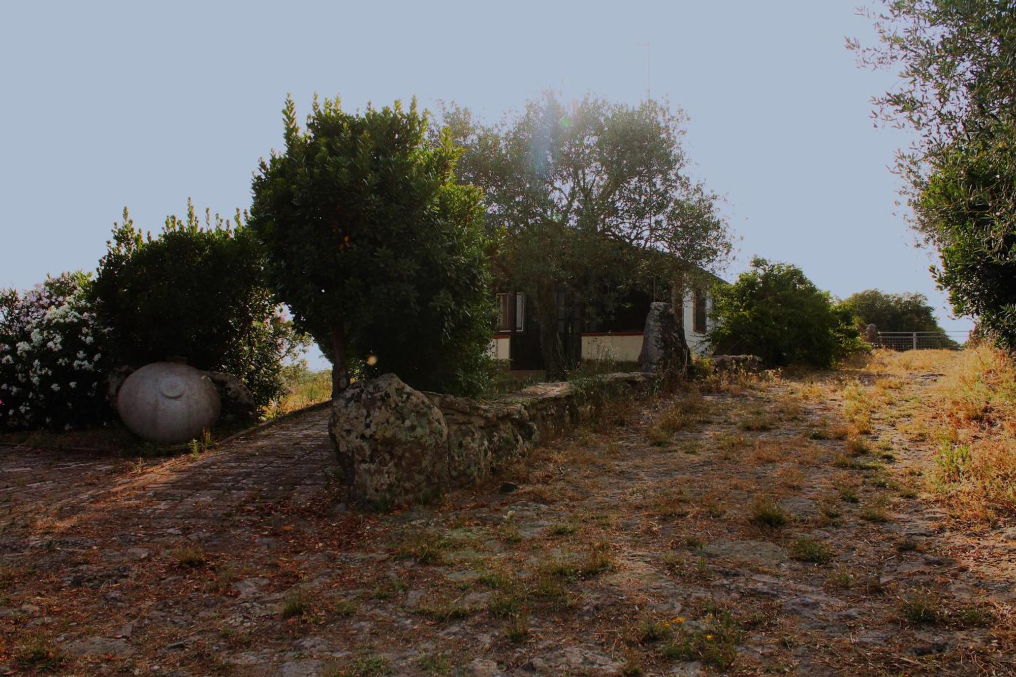 Agriturismo Su Recreu Ittiri Exteriör bild