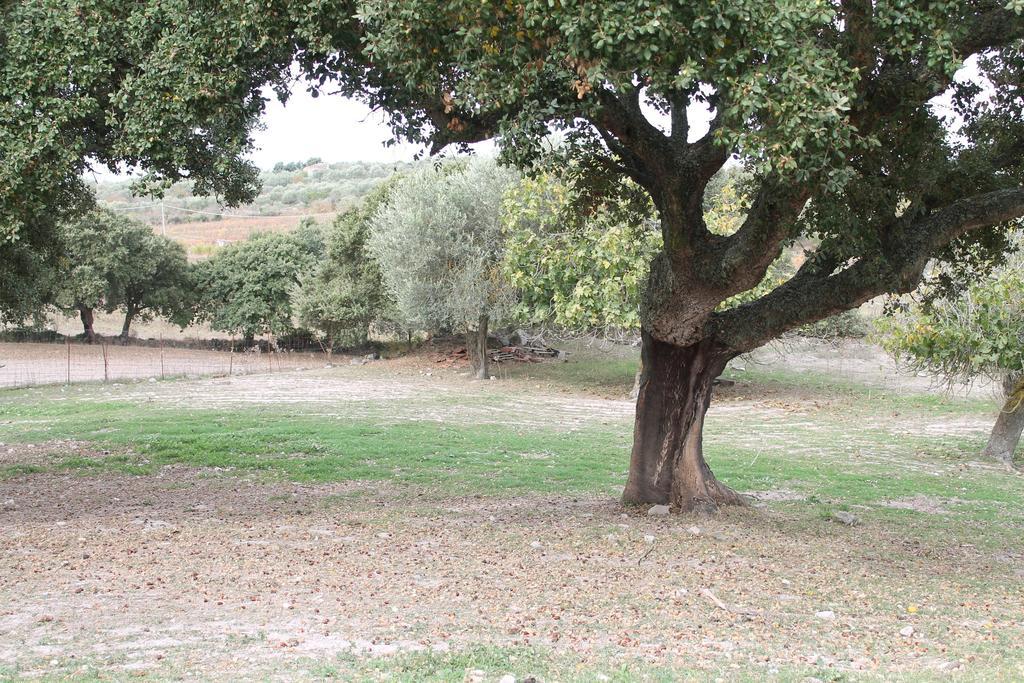 Agriturismo Su Recreu Ittiri Exteriör bild