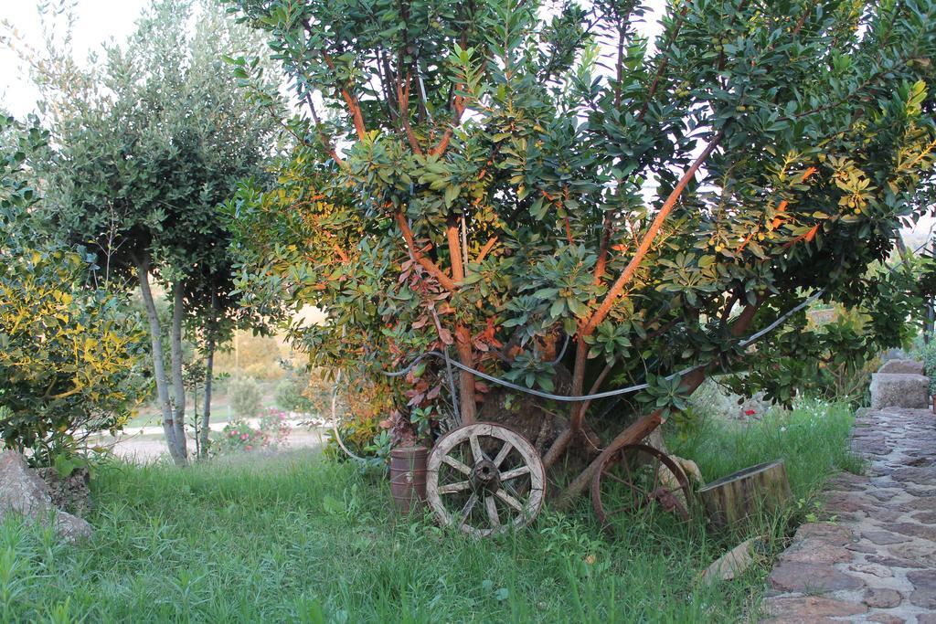 Agriturismo Su Recreu Ittiri Exteriör bild