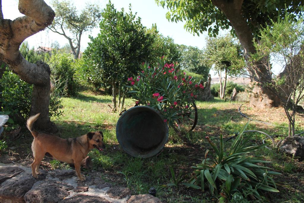Agriturismo Su Recreu Ittiri Exteriör bild