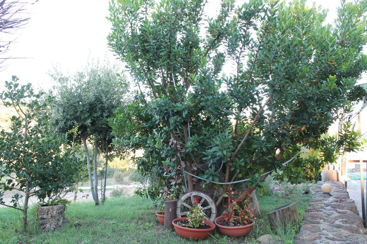 Agriturismo Su Recreu Ittiri Exteriör bild